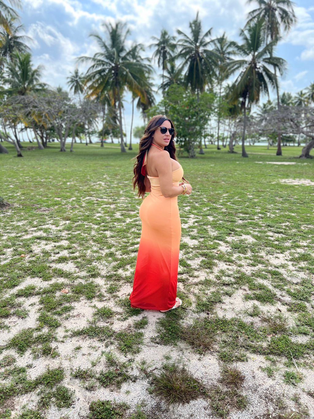 Passoa Dress